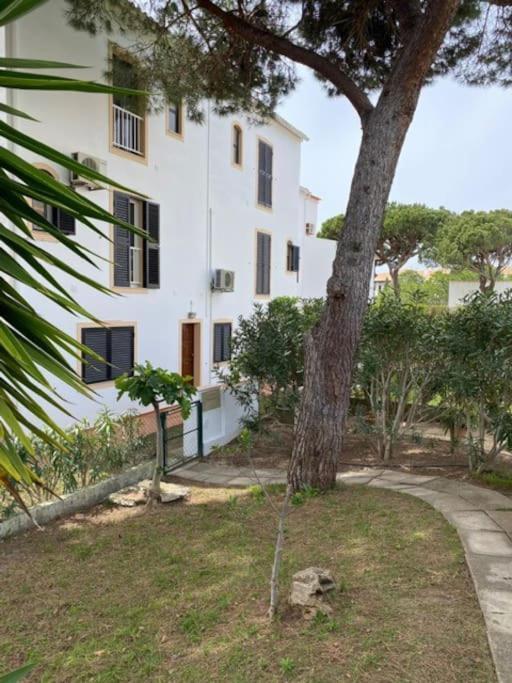 Albufeira Falesia Beach Apartment Dış mekan fotoğraf